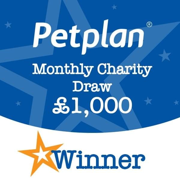 BurrowedHearts's tweet photo. Thank you so much @PetplanUK! This is such a massive help with our vet bills!
🐇🐇🐇

#rabbit #adoptdontshop #animalrescue #charity #rabbits #petplan https://t.co/bUxwwrSEeW