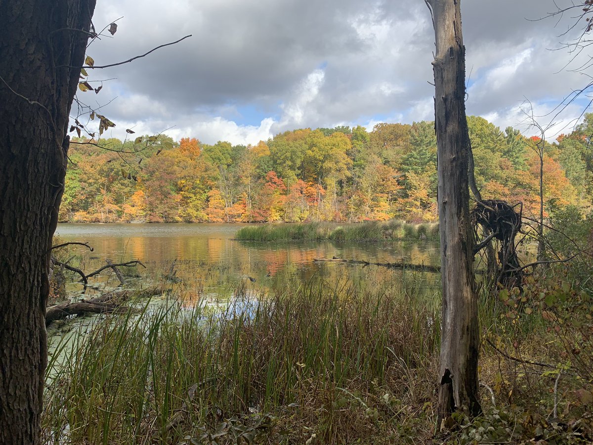 DerekNofz's tweet photo. Beautiful fall day for the grand opening of the Armintrout-Millbocker preserve in Allegan. Terrific fall color destination. Development of the site made possible by @ConsumersEnergy foundation planet award! https://t.co/xYBQ2MEUg5
