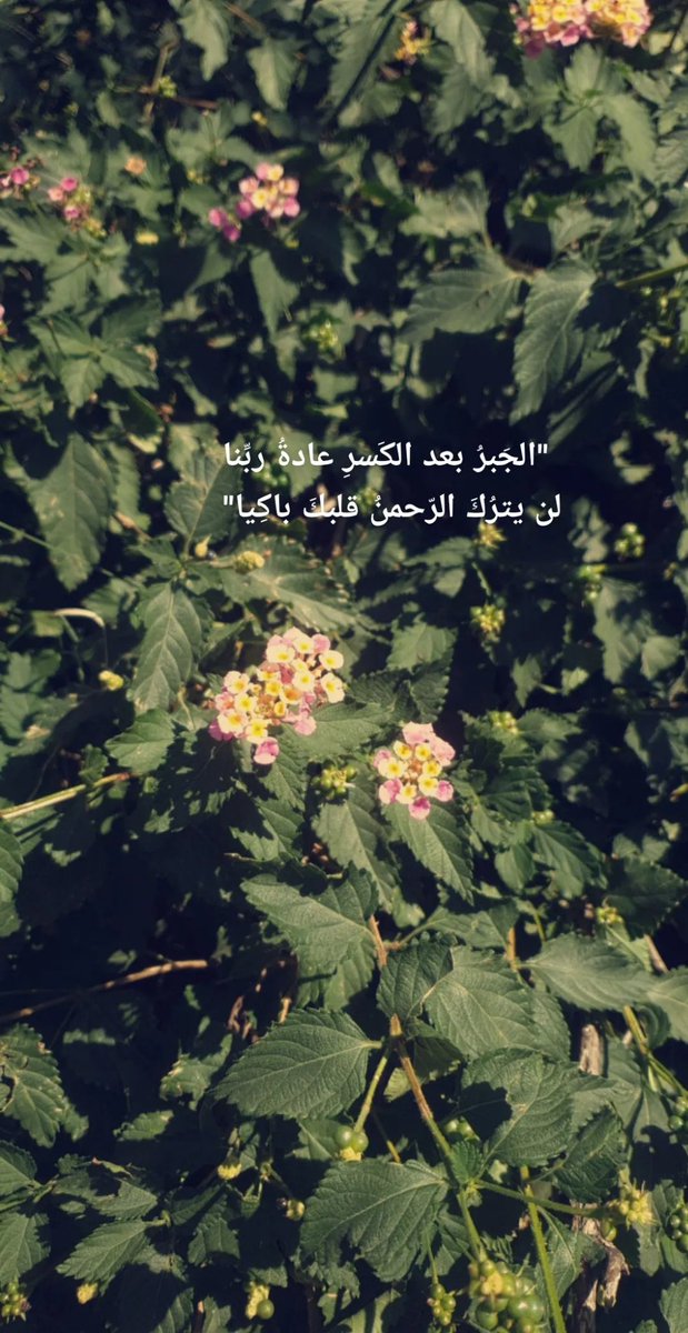 toota_az's tweet photo. "الجَبرُ بعد الكَسرِ عادةُ ربِّنا
لن يترُكَ الرّحمنُ قلبكَ باكِيا" https://t.co/F3UPhcqTpD