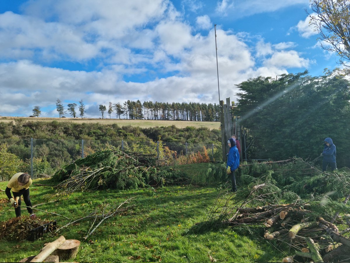 Fantastic hike in Pentlands last night, stay over at hall and time at cottage today working to clear/sort wood taken down by tree surgeon. Been quite challenging times recently so was good to clear the heid, spend time outdoors and reset mind &amp; body before we get into EGS.