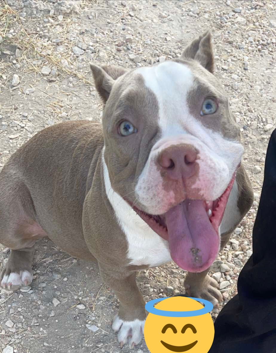 Dion 6️⃣⚡️ tweet media