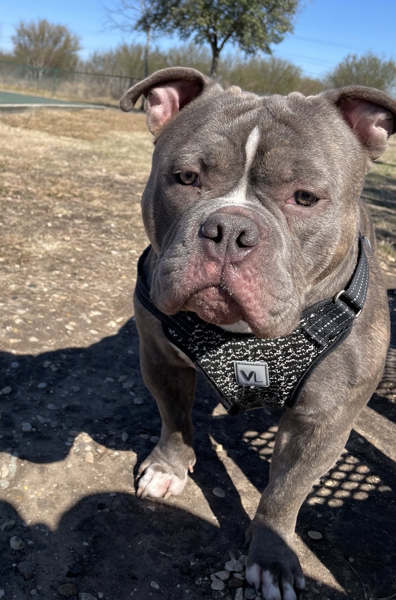 Dion 6️⃣⚡️ tweet media