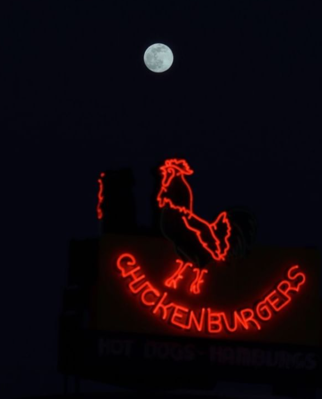 The Chickenburger tweet media
