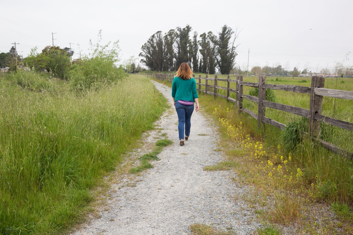 sonomaopenspace's tweet image. On October 22, join us and the @LagunaFnd in restoring the natural beauty of Colgan Creek during a free and fun stewardship day. Clear trash, remove invasive species, and help care for young trees planted during past stewardship days. Reserve your spot : campsite.bio/sonomaopenspace