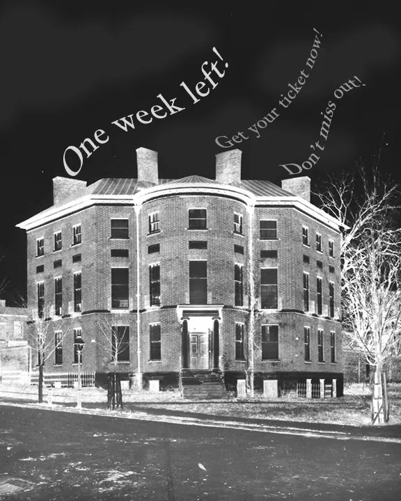 Octagon Museum tweet media