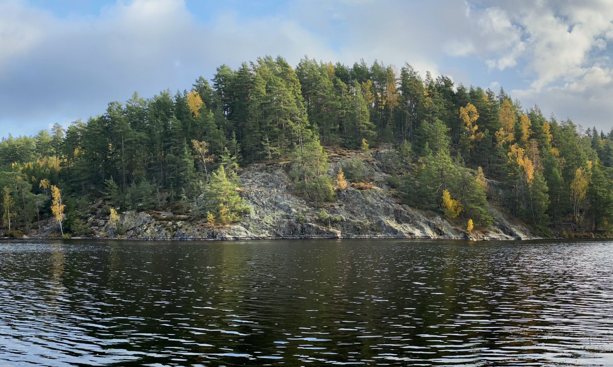 Twitter istället för Instagram?