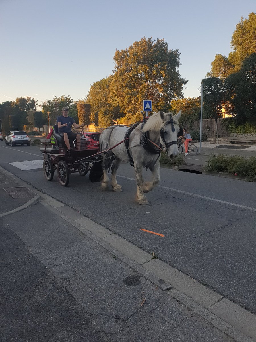 Quelle pénurie de carburant ?