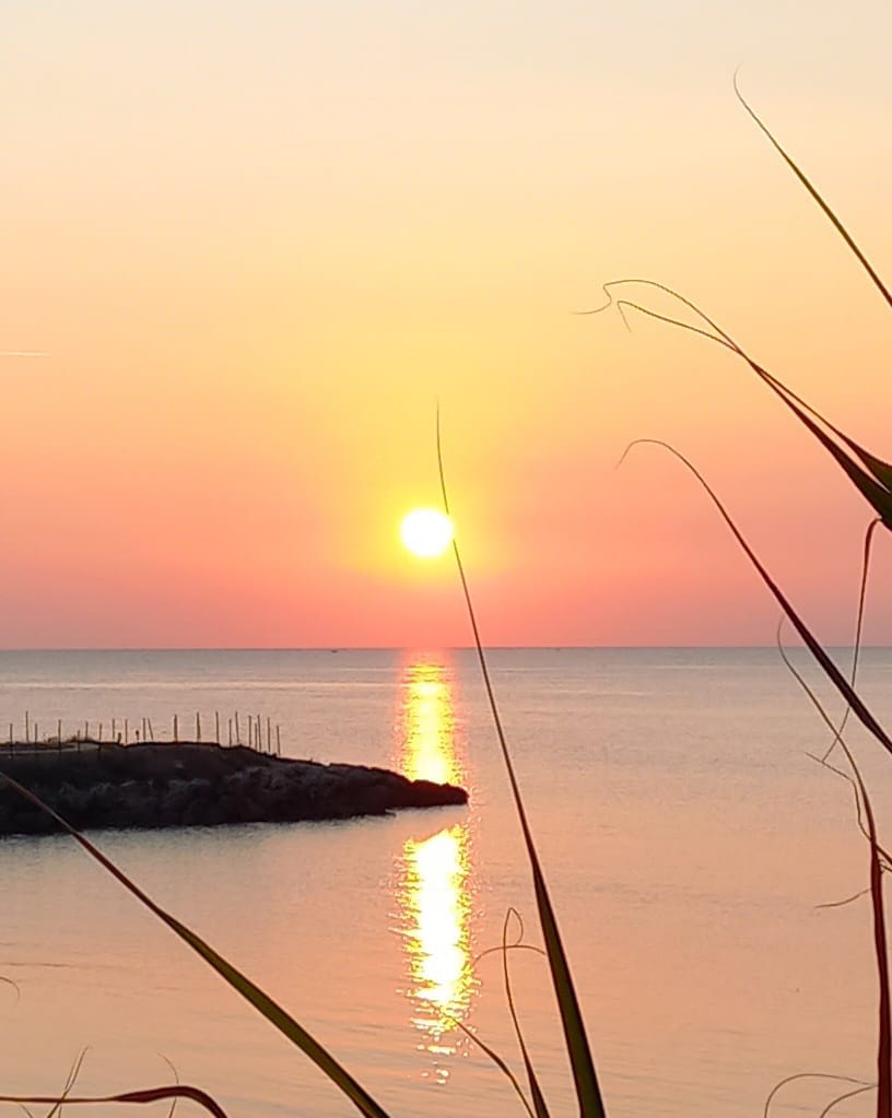 Lory  ♈ tweet media