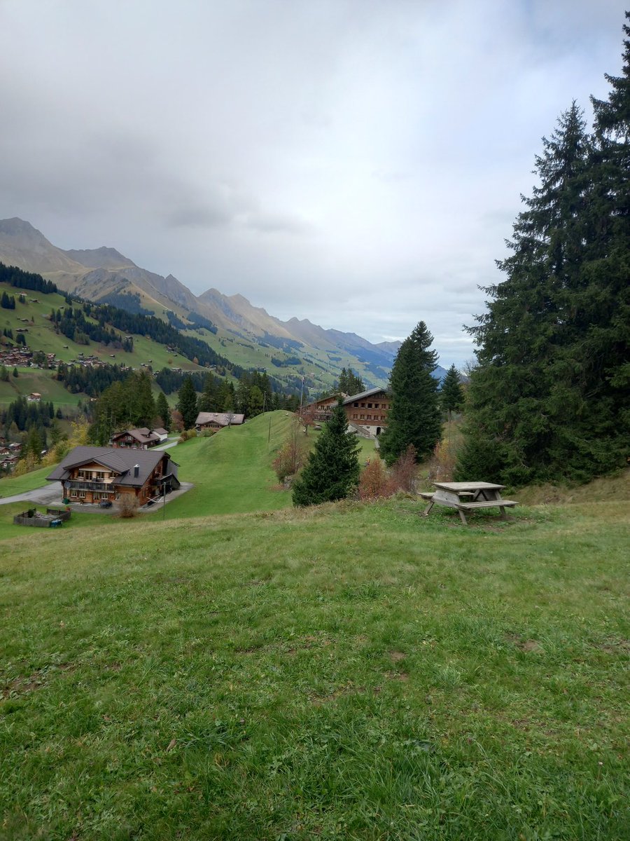 EmilyMcCann13's tweet photo. Lunch time view #guidesitsagirlthing #ourchalet https://t.co/xDNcV2Bllb