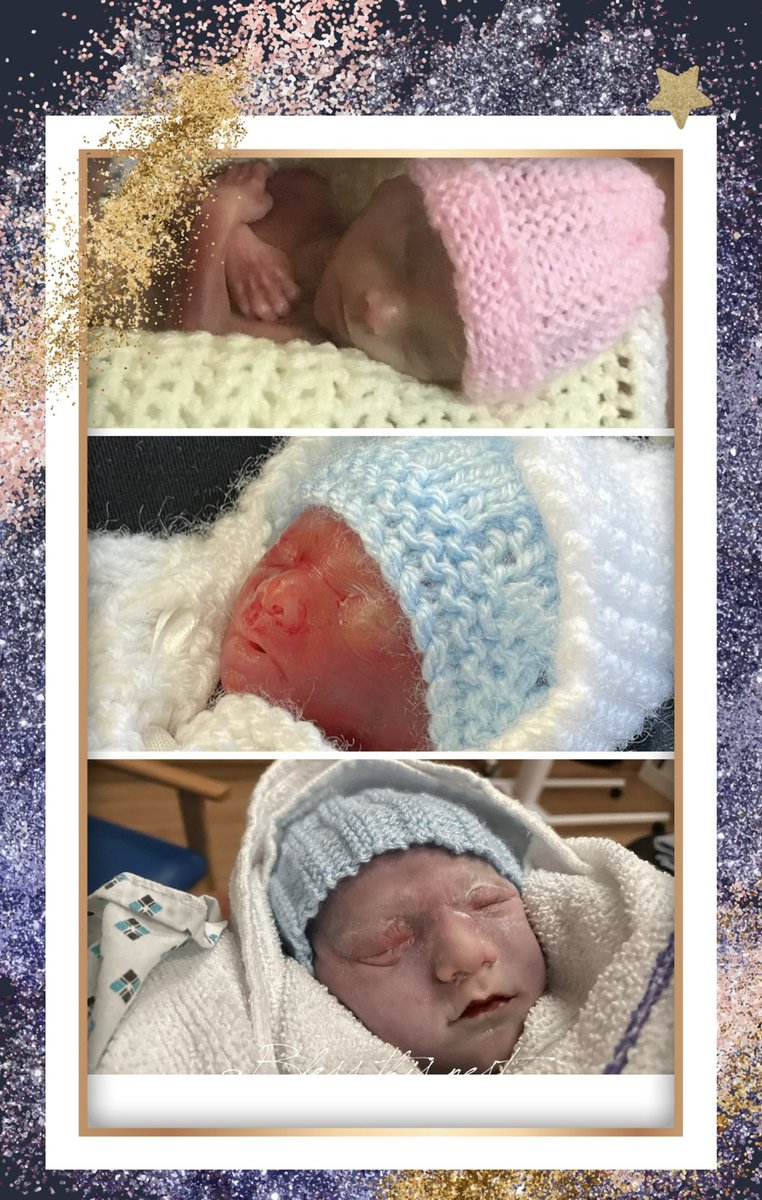 Kate Lowery tweet media