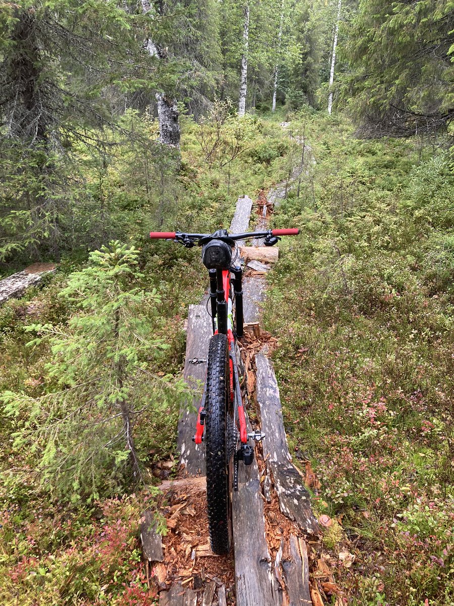 t_jussi's tweet photo. @velo_oxygen_fi Hyväkuntoiset pitkokset saa hymyn huulille https://t.co/fiQ0NBDhQn