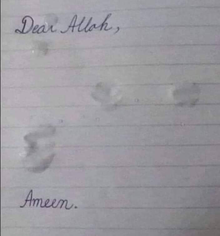 Fatima🇵🇰 tweet media
