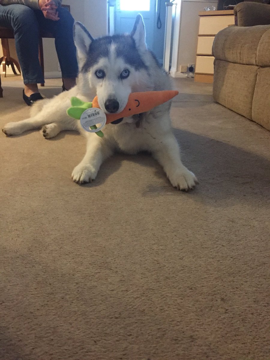 Julie Ridley tweet media