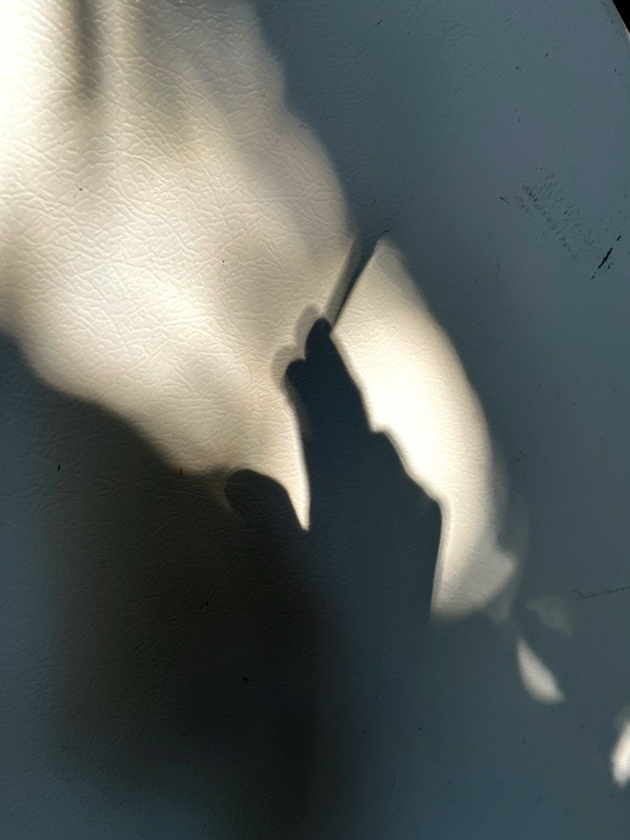 xoel_ja's tweet photo. Show me the Light
#light #lightphoto #lightphotography #red #photo #photooftheday #shadow #reflections #frontlight #sidelight https://t.co/yyXSuHA3pE