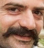 StreakyFly "Bot" tweet media