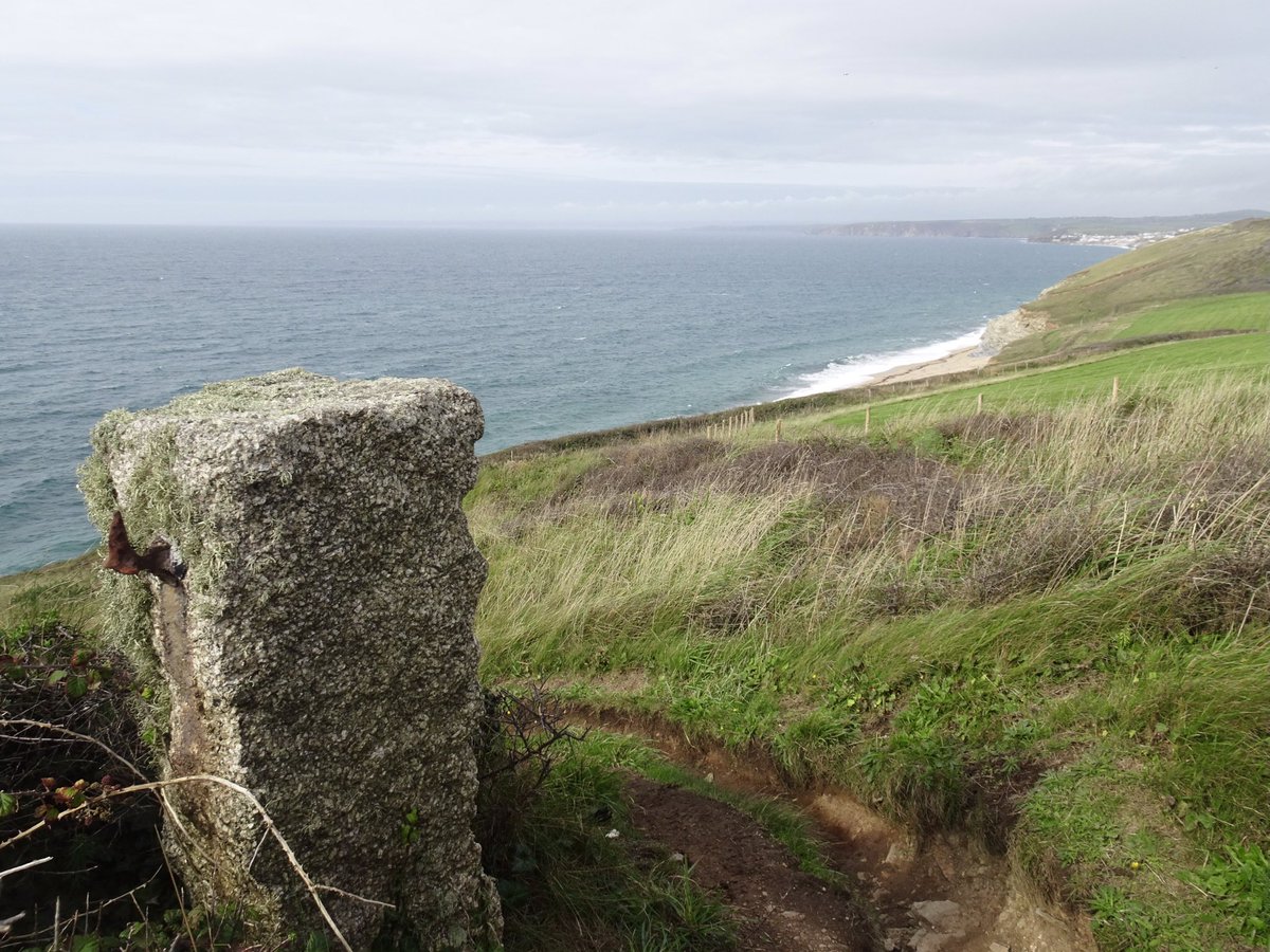 Perpetual dilemma when walking on the coast in Cornwall- look ahead at the stunning views but then miss the beauty of rural crafts, wildlife and plant life.
#SWCoastpath #Gunwalloe #LoeBar