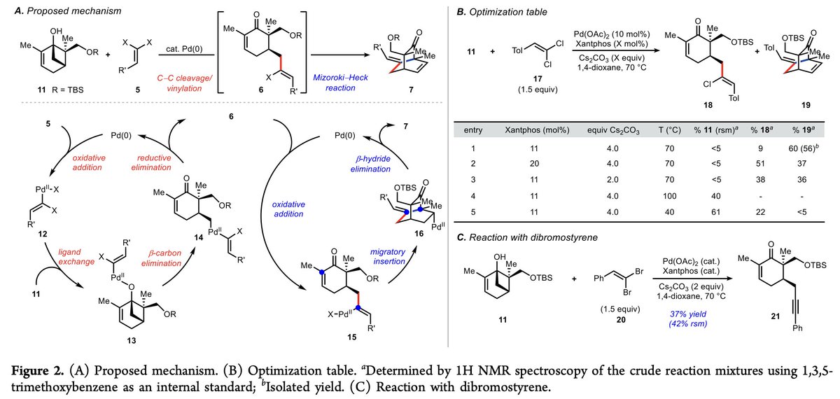 TotalSynthesis's tweet photo. Development of a C–C Bond Cleavage/Vinylation/Mizoroki–Heck Cascade Reaction: Application to the #TotalSynthesis of 14- and 15-Hydroxypatchoulol by Christina G. Na, @suhhyunkang, and Richmond Sarpong @SarpongGroup at @UCB_Chemistry in @J_A_C_S https://t.co/u2dPDxfN8U https://t.co/F60Ck6RAnh