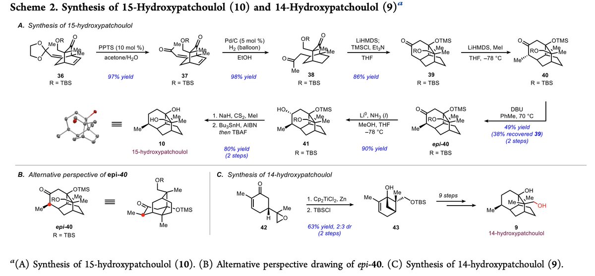 TotalSynthesis's tweet photo. Development of a C–C Bond Cleavage/Vinylation/Mizoroki–Heck Cascade Reaction: Application to the #TotalSynthesis of 14- and 15-Hydroxypatchoulol by Christina G. Na, @suhhyunkang, and Richmond Sarpong @SarpongGroup at @UCB_Chemistry in @J_A_C_S https://t.co/u2dPDxfN8U https://t.co/F60Ck6RAnh