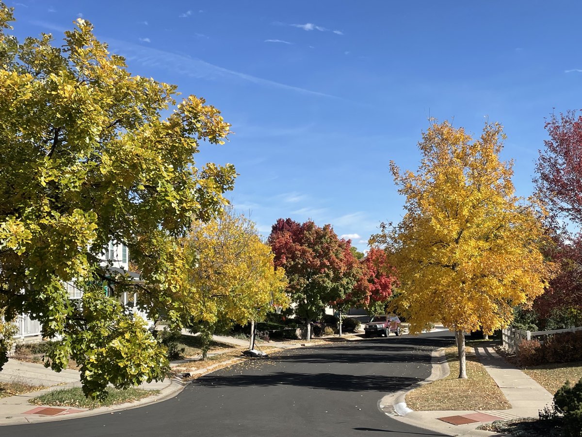 drvickip's tweet photo. A cup of coffee and some time outdoors to take in all of nature's colors. ๐๐๐ #HappyFallYall #ExploreReflectConnect https://t.co/xdaCp2ycY3