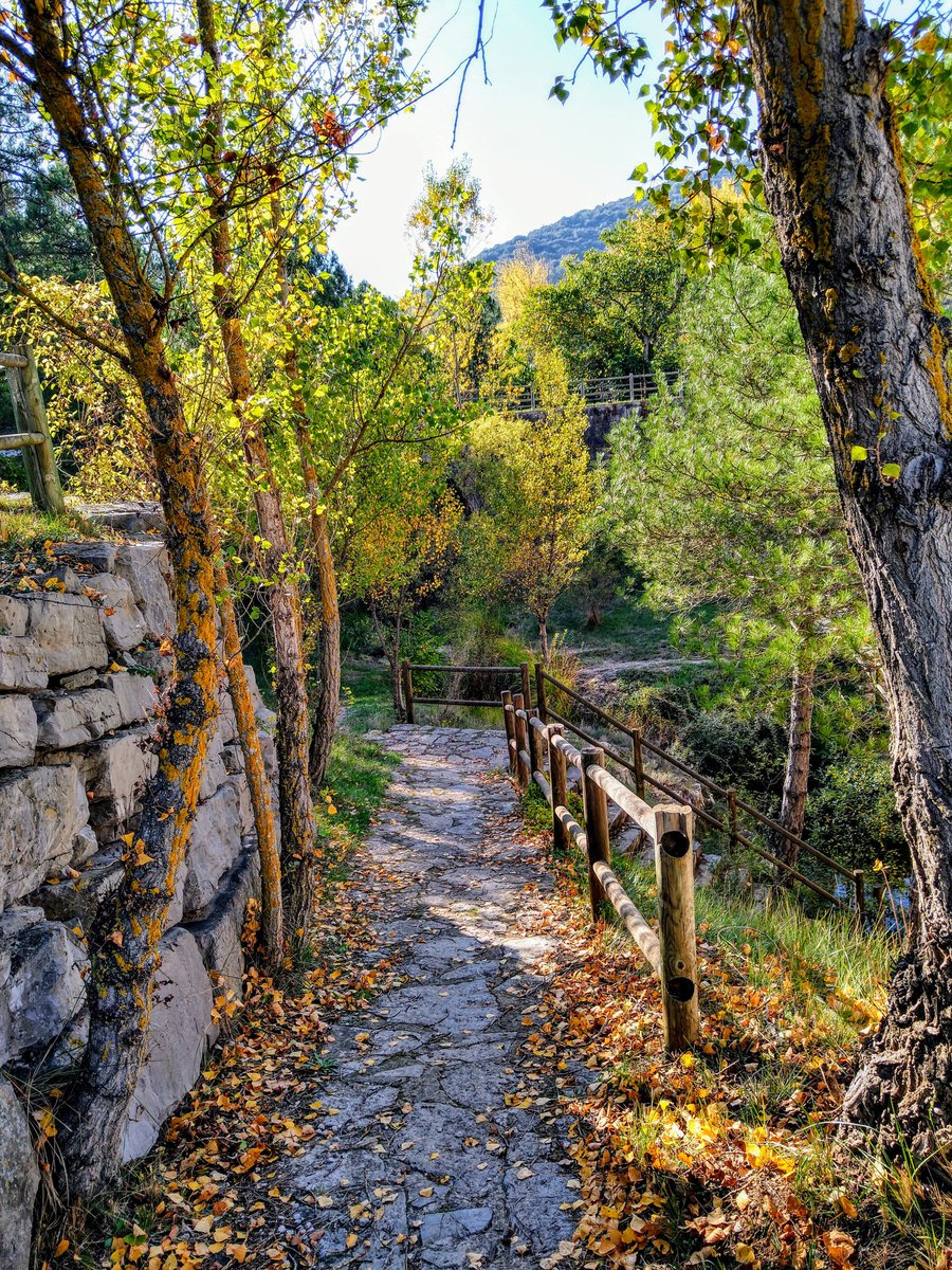 Adri_cs_91's tweet photo. Font dels Molins https://t.co/9vkbY7B8tl