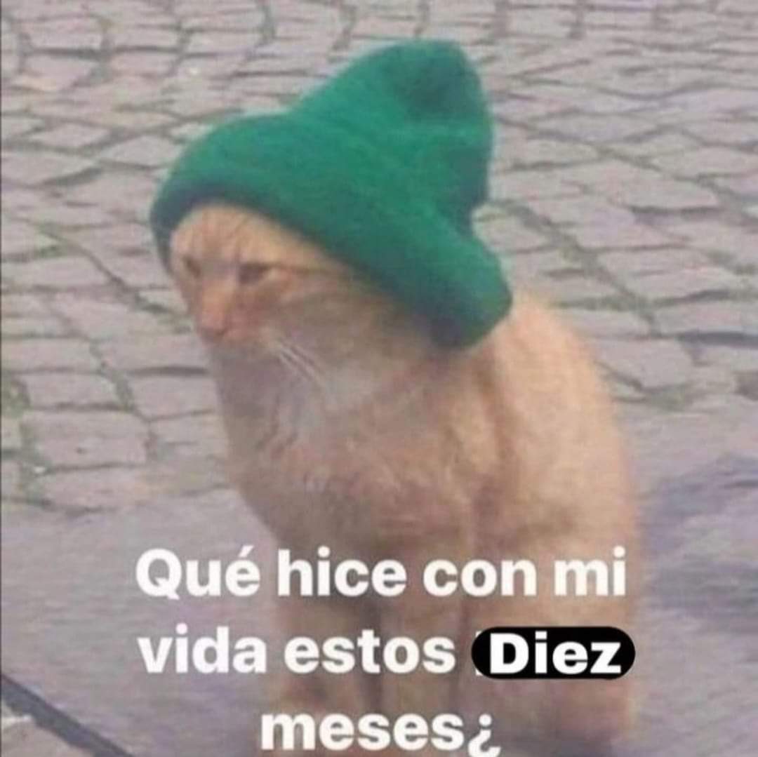 memefeos's tweet photo. https://t.co/LWAPlso6kZ
