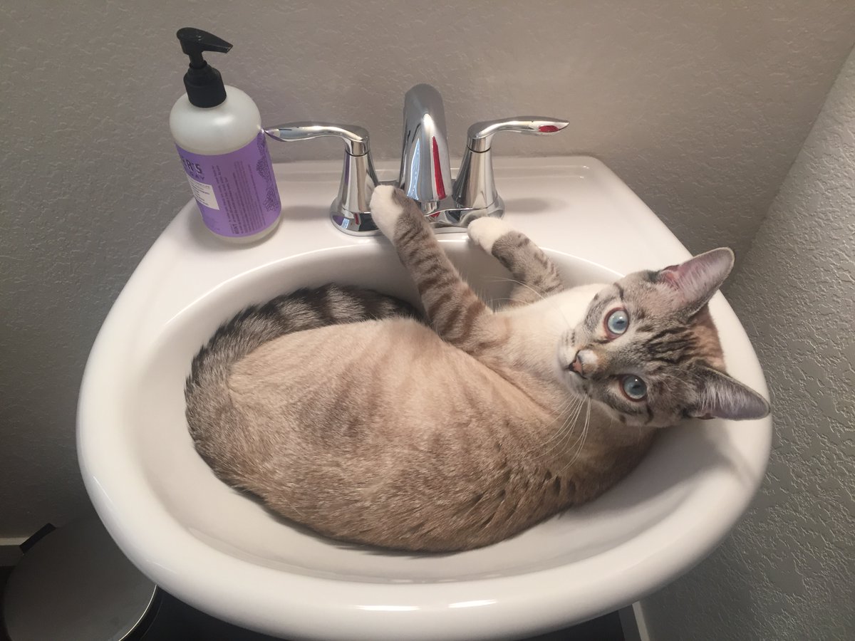 Nancy Leong tweet media