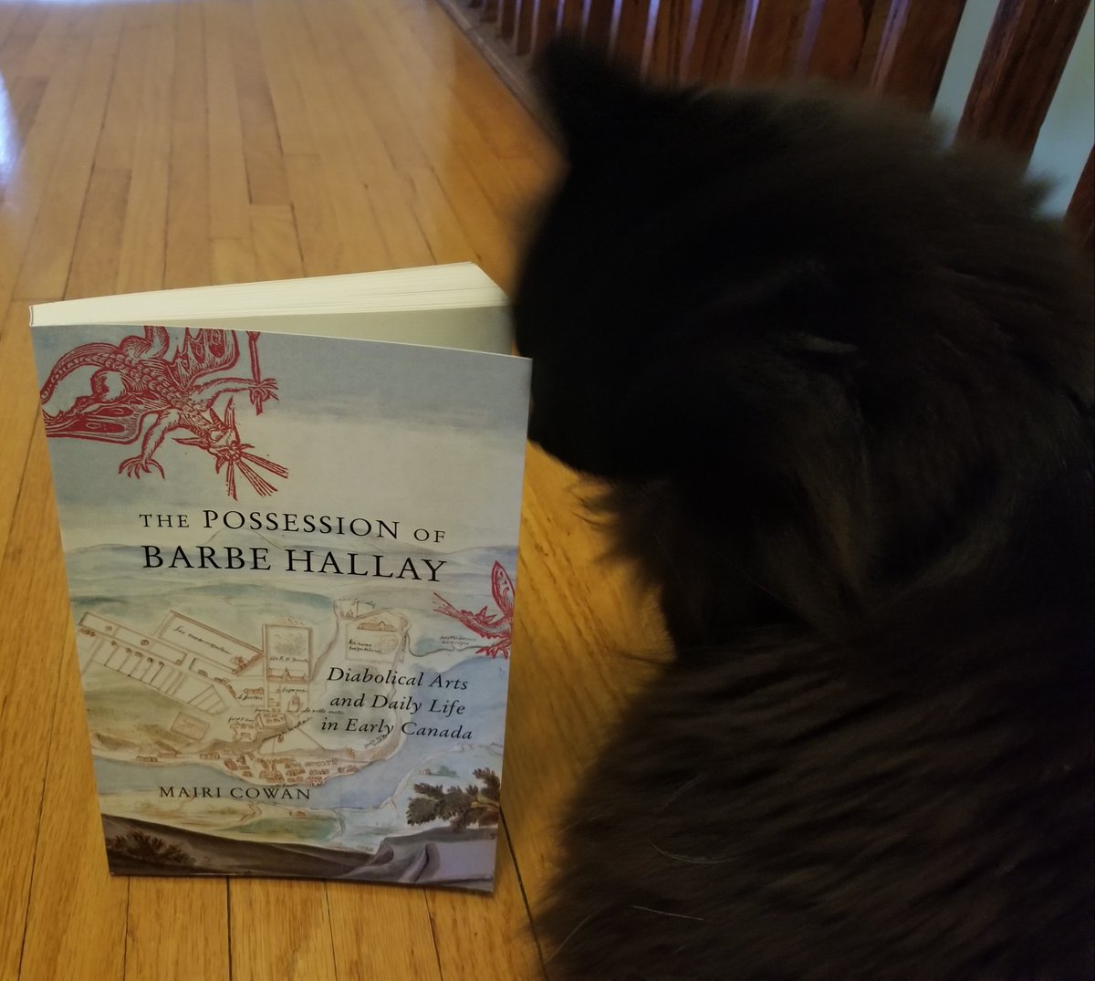 Historian_Mairi's tweet photo. This book is out in the world today! The floofy house panther is already getting into it. 

The Possession of Barbe Hallay: Diabolical Arts and Daily Life in Early Canada from @McGillQueensUP available now (or soon) at a library or bookstore near you. https://t.co/8OGM7wr0cd https://t.co/pHHS03pW3L