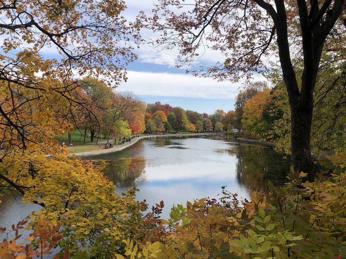 CL_opez's tweet photo. Enjoying as much outdoors today. LaFontaine Park is having an Autumn moment. #mtlfall #mtlmoments https://t.co/Sd489VEg9v