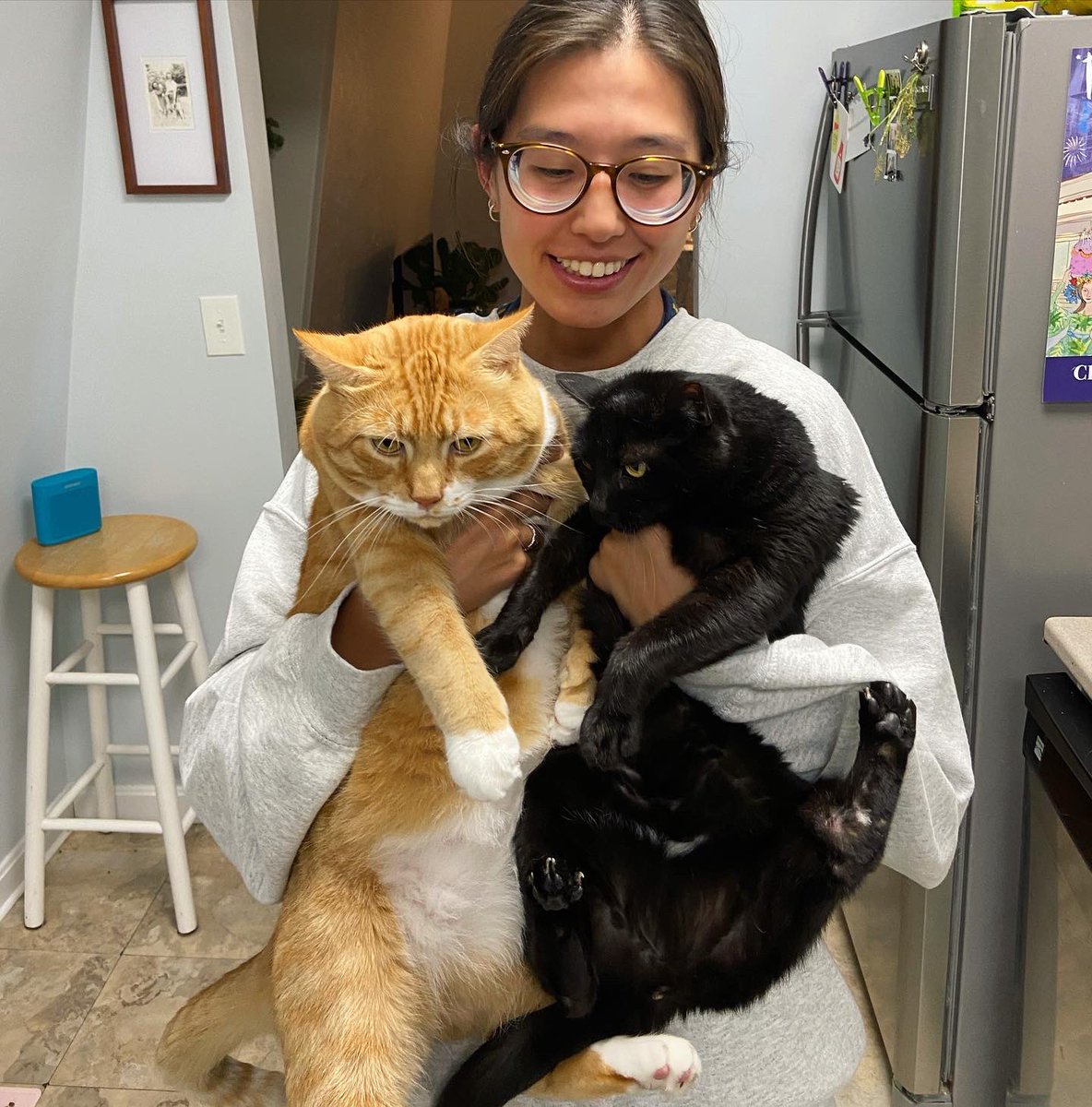 “Alvín we haf beën bamboozléd !! ” >:(  

 #twittercat #CatsOfTwitter #cutekitty #catstagram #catstagramcat #blackcats #gingercats #halloweencats #alverino #themeemster