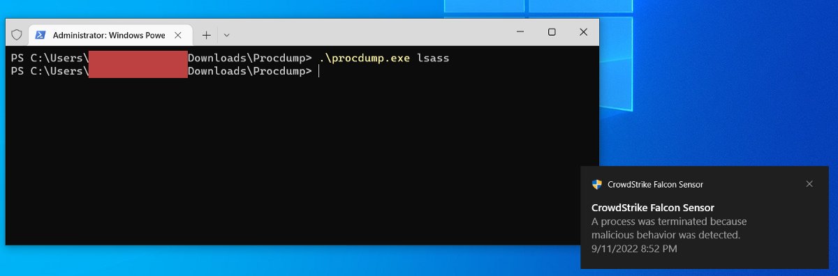 Blue Team News tweet media
