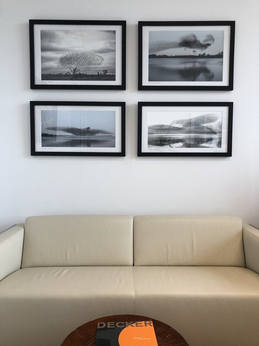 Starling murmurations are one of the most spectacular natural wonders to experience! I love the #Starling photo series by the award-winning Irish photographer James Crombie, and now have four in my office to be inspired by every day 🤩😊