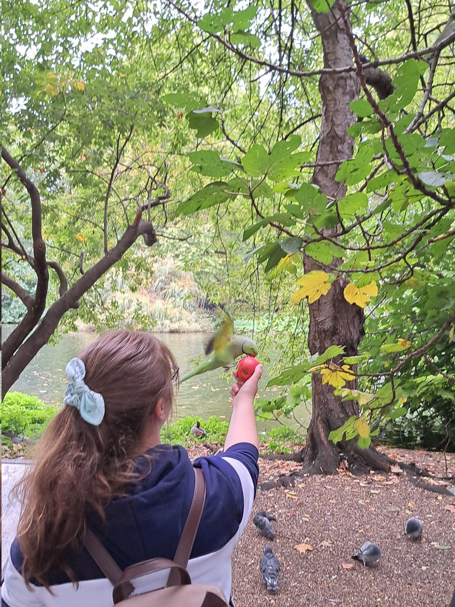 SimoDiMa1's tweet photo. Lovely reunion with my dearest @Beatrice_Pec in picturesque London 🦜🎨 https://t.co/RI6zuEIT0C