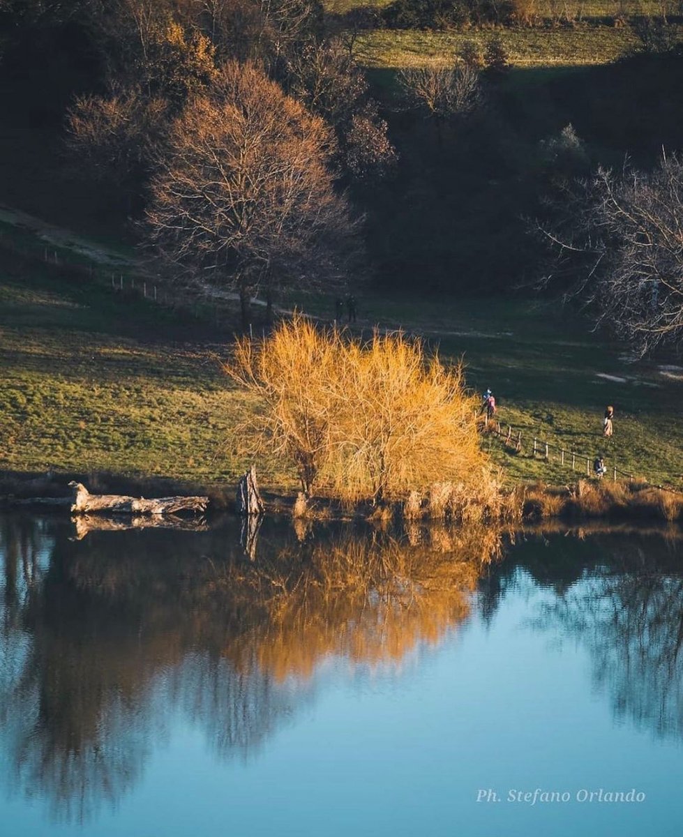 visit_lazio's tweet photo. ,Il #LagodiGiulianello è una vera e propria oasi a metà strada fra le alture di natura vulcanica dei #ColliAlbani e quelle calcaree dei monti #Lepini

📸 Ig stefnewlife

 #VisitLazio #FaiUnSaltoNelLazio #LazioEternaScoperta #LazioIsMe https://t.co/Y2wECBr1ce