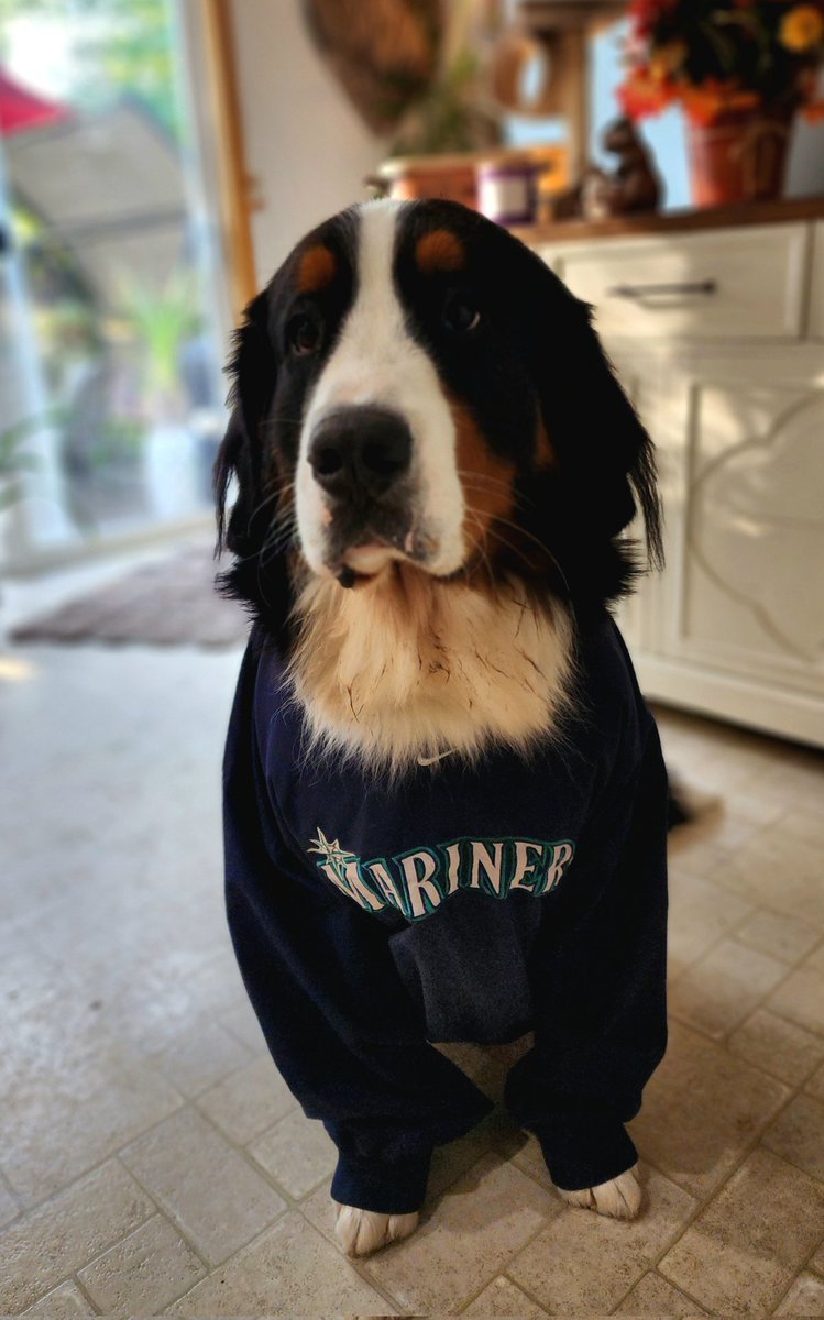 Michael Martel tweet media