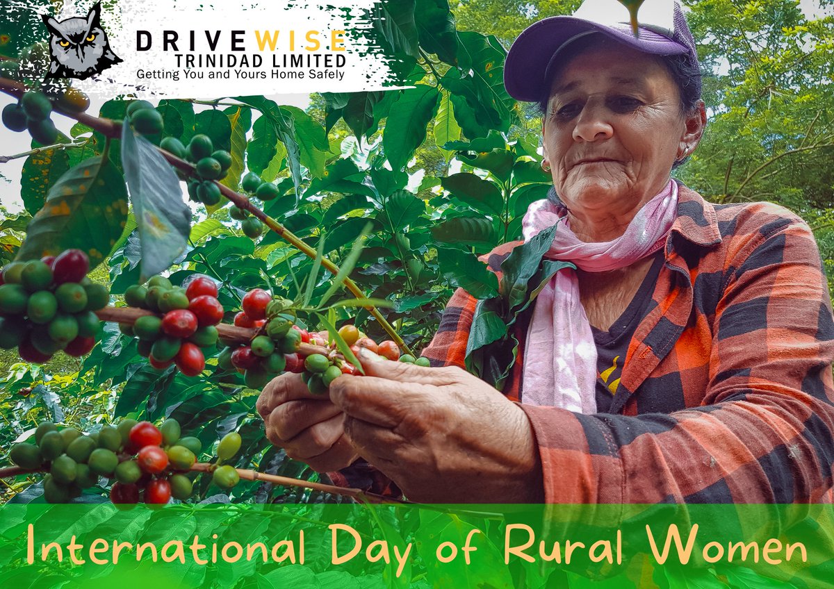 DriveWiseTT's tweet photo. International Day Of Rural Women

#ruralwomen #rurallife #rural #farmlife #women #ruralliving #womenempowerment  #ruralwomenday #farmher #endpoverty #agriculture #ruraldevelopment #countrygirl #handmade #countryliving #empowerment #internationaldayofruralwomen #outdoors https://t.co/9QkSilDnyh