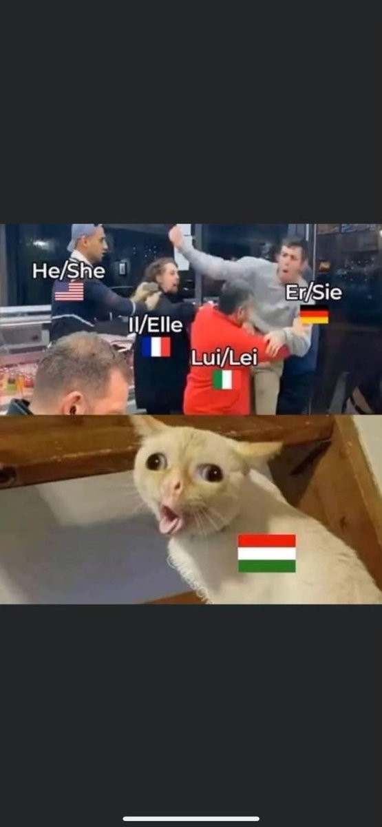 Patrick Vlaskovits tweet media