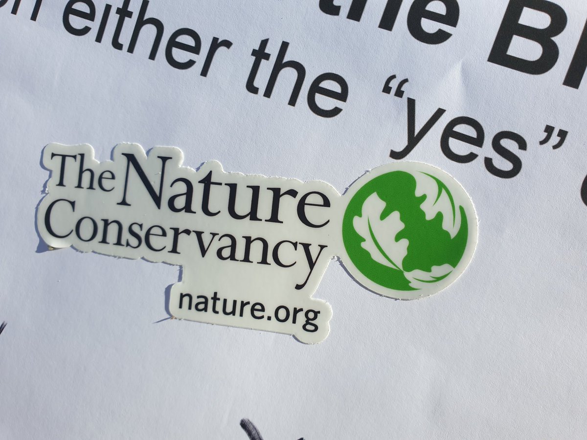jahson_alemu's tweet photo. Happening today #Fallfestival connecting people with nature at the #BelleIsleMarsh with #FBIM @ConserveMA #DCR and others

#saltmarshes
#naturewalks
#birdbanding
#snakesexpo
#artsandcraft
#treeplanting https://t.co/rgboVlBgeK