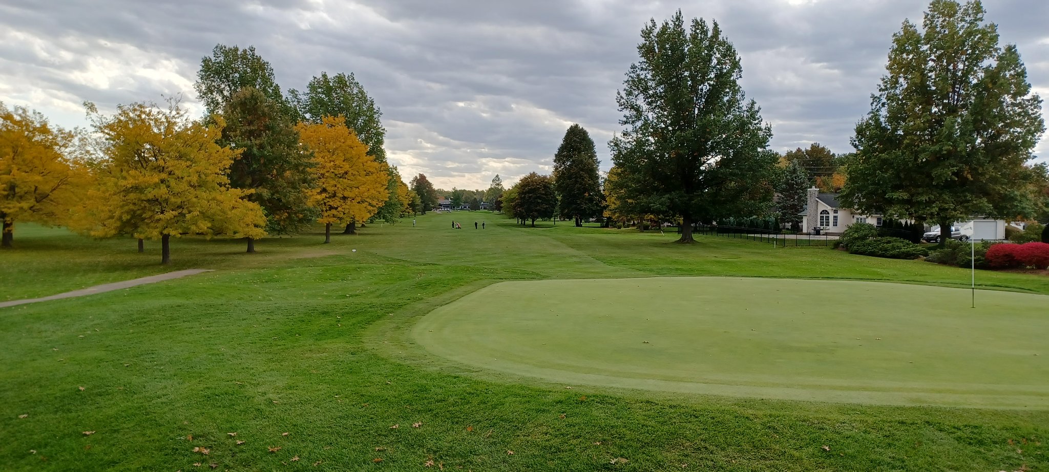 webster golf club scorecard