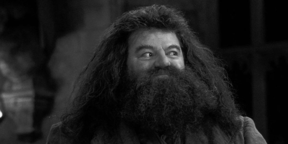 therealhasanboy's tweet photo. The legacy of these movies is that my children's generation will show them to their children. So you could be watching it in 50 years' time, easy. I'll not be here, sadly, but... But Hagrid will, yes.

- Robbie Coltrane https://t.co/klLZ3uBctg