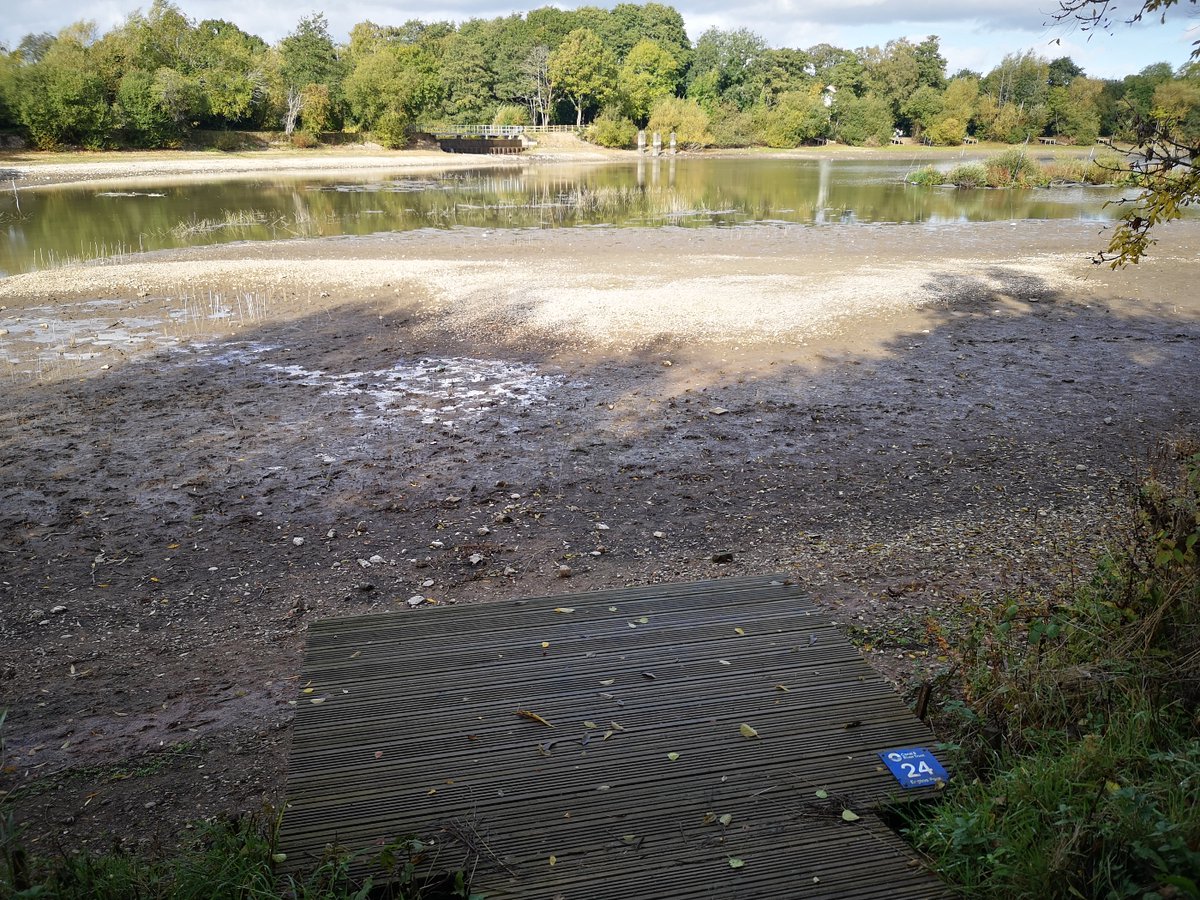 Some heavy downpours recently which made think water levels were back to normal, but Earlswood Lakes showing that wasn't the case! Fishing platform in the foreground, shocking drop and impact on the ecology and local water cycle