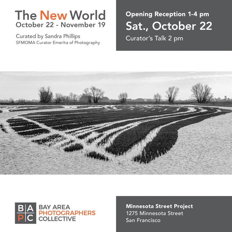 bapcsf's tweet photo. One week away! Our upcoming exhibition, 'The New World,' is approaching fast. We can't wait to see you there!
⁠
Opening reception is 1-4pm on 10/22/22⁠

Image by member Tom Lavin https://t.co/m9TlQN7xhX