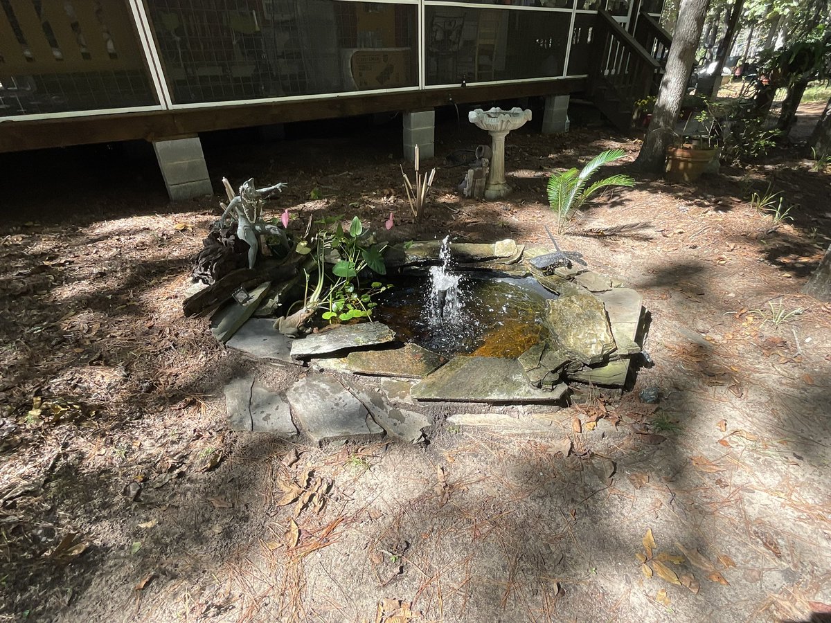 Elysawareness's tweet photo. I honor this space by sprucing it up a bit.  If you zoom in, Little Ely is chilling by the log on the left.  That girl loves being brought with me for #innerchildchallenge
Day 6/21
perhaps it because I am sending her so much love and appreciation, that I end up in magical spaces https://t.co/fWJKrcIGW0