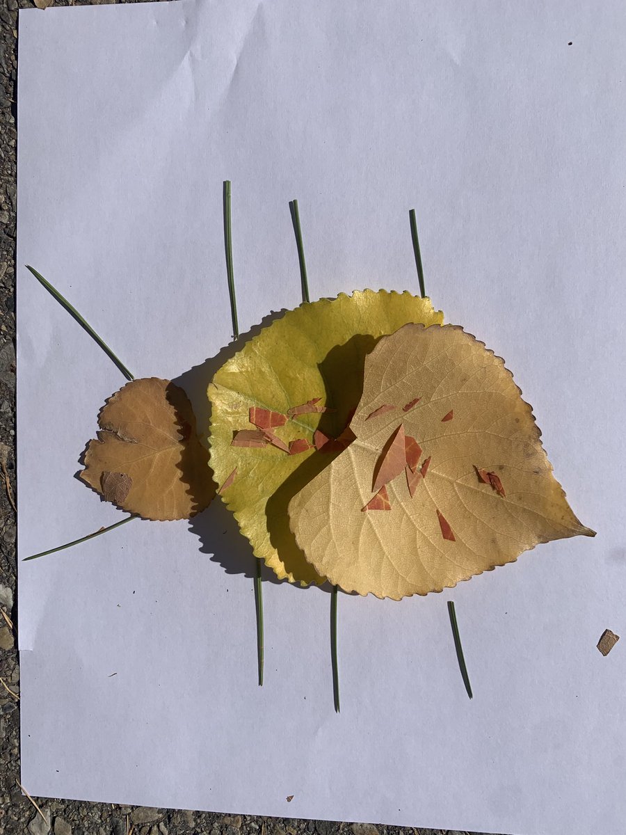 MrsChen_CCS's tweet photo. Long time, no post! Here are a few things the grade twos have been up to  at @CrossingCooper. Creating natural art pieces from beautiful fall colours. https://t.co/691pTAlFEg