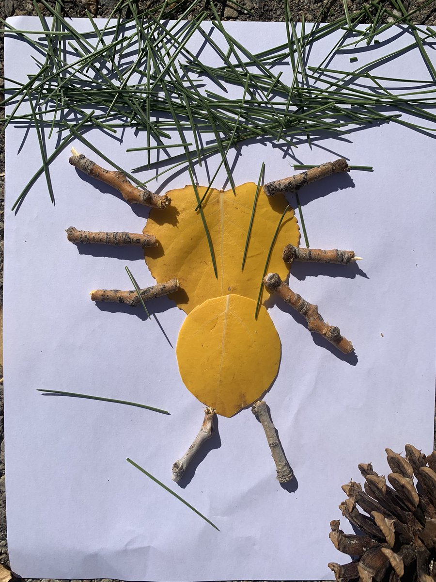 MrsChen_CCS's tweet photo. Long time, no post! Here are a few things the grade twos have been up to  at @CrossingCooper. Creating natural art pieces from beautiful fall colours. https://t.co/691pTAlFEg