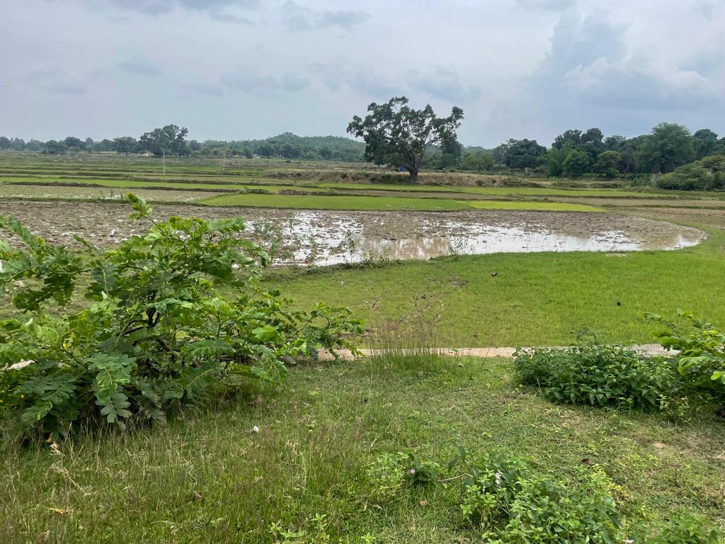 AismJharkhand's tweet photo. @HemantSorenJMM जी @ChampaiSoren जी @drajoykumarजी @Simdega_Police @dc_simdegaजी
पत्रकार आमिर हाशमी का कोरोनाकाल में निधन‌‌ के बाद बच्चों की पढ़ाई का खर्च वहन करना मुश्किल हो गया है.बेटे के नाम एक जमीन का‌ टुकड़ा है जिस पर दबंगों ने कब्ज़ा कर लिया.कृपया मदद करें🙏 @Pritambhatiya https://t.co/EXZUFm211E