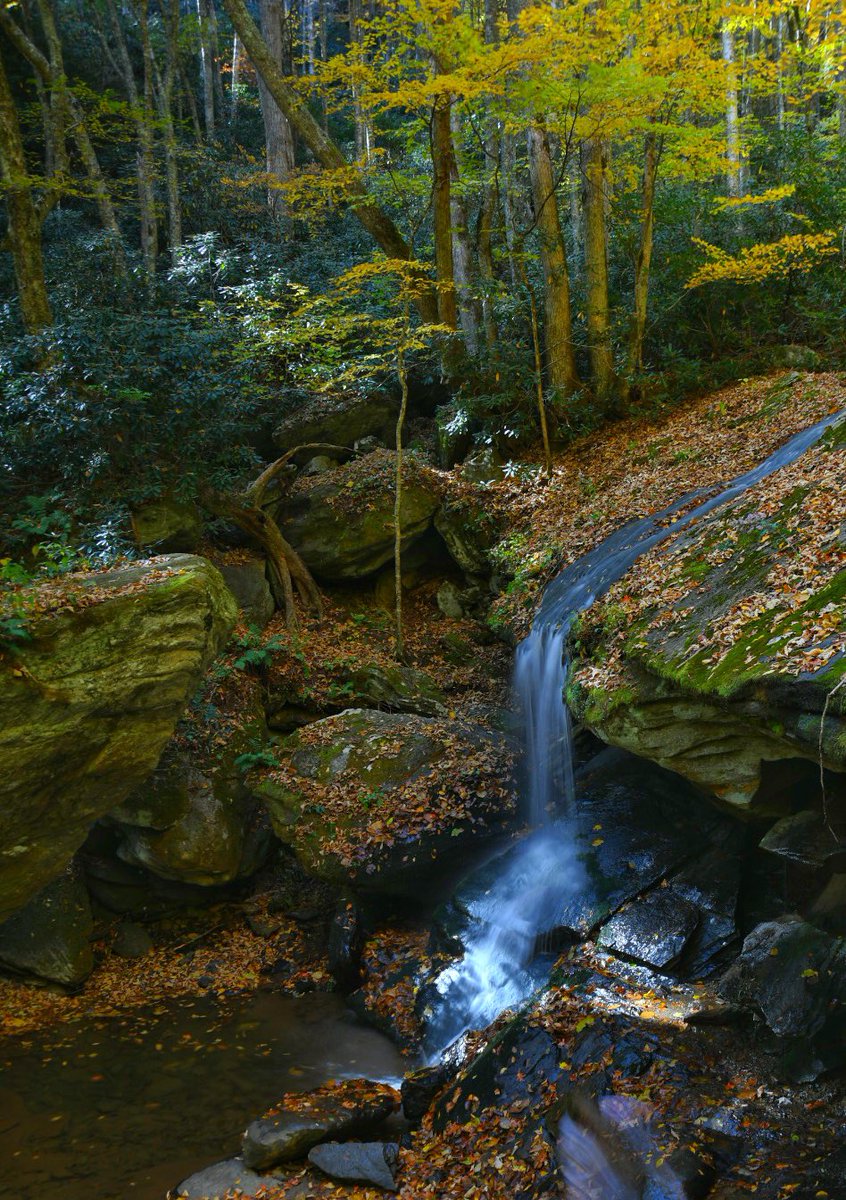 Jassnight's tweet photo. The Blue Ridge never dissapoints. #blueridgemountains #westnc #waterfallsofnc #waterfalls #photography #livingmybestlife https://t.co/P0rPFUJh7X