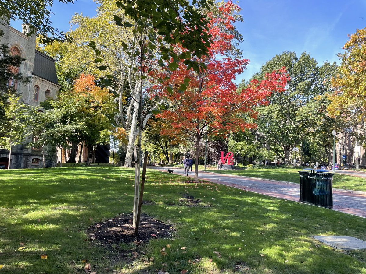 TalentSays's tweet photo. #FallTwitter https://t.co/1NnKteZ7Mp