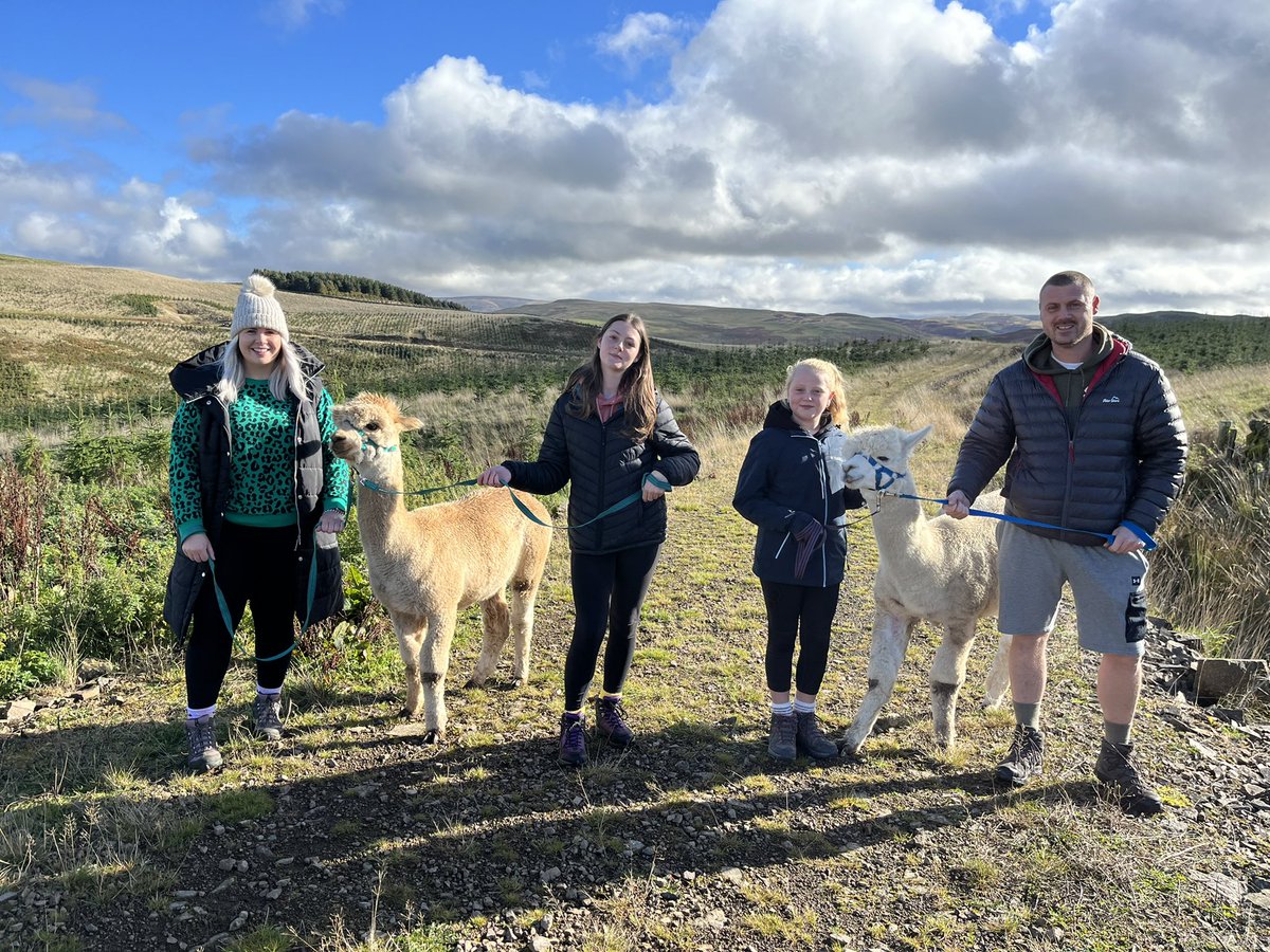 beirhopealpacas's tweet photo. Still Shorts weather up here in the Cheviot Hills! Beautiful day to walk an Alpaca and blow away the cobwebs 🦙 https://t.co/SGw14A1q2A