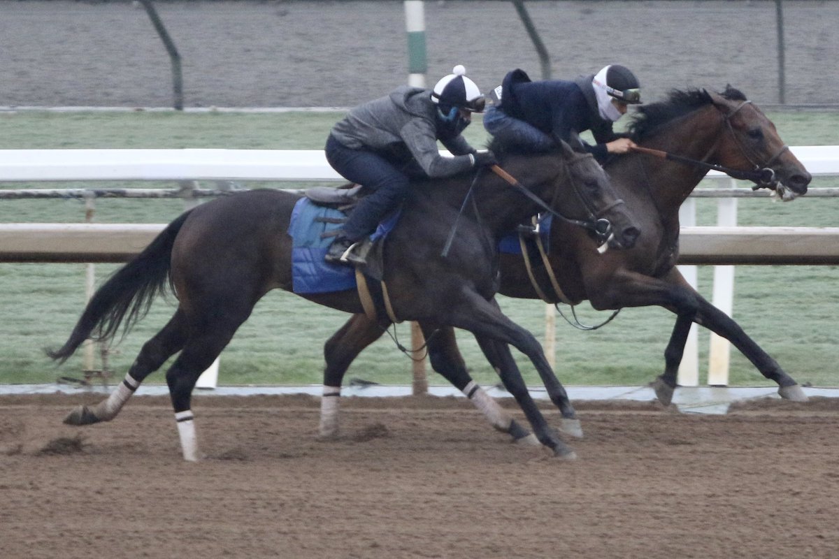 timyakteen's tweet photo. And this morning at #santaanitapark, we worked Johannes, Quincy Market, Encode, Savile Row, Sweet Tessa and Clooney. ☁️ #nottheusualsaturday #fallhasarrived https://t.co/9QWlNsHTW2