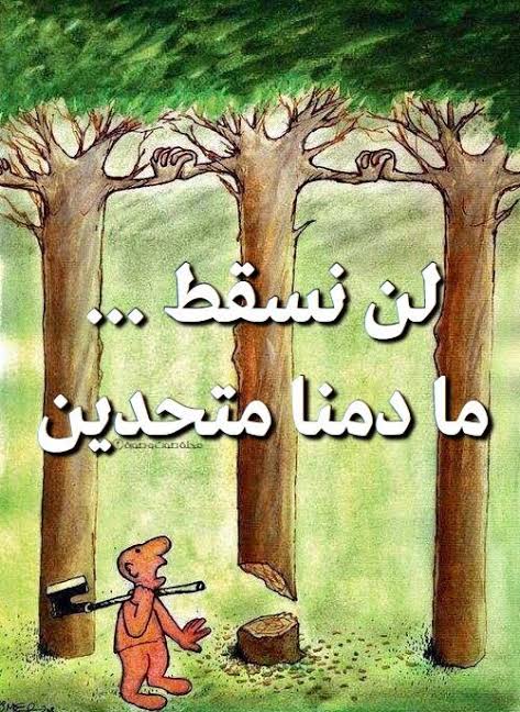 #الاتحاد_قوه طول مايدينا في ايدينا بعض محدش هيقدر علينا